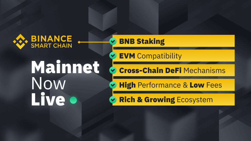 Binance Smart Chain diciptakan untuk memfasilitasi ekosistem smart-contract dan kompatibilitas dengan mesin EVM Ethereum. Maka dari itu, Blockchain baru ini membutuhkan standar token baru  dan menjadi alasan perbedaan BEP2 dan BEP20.