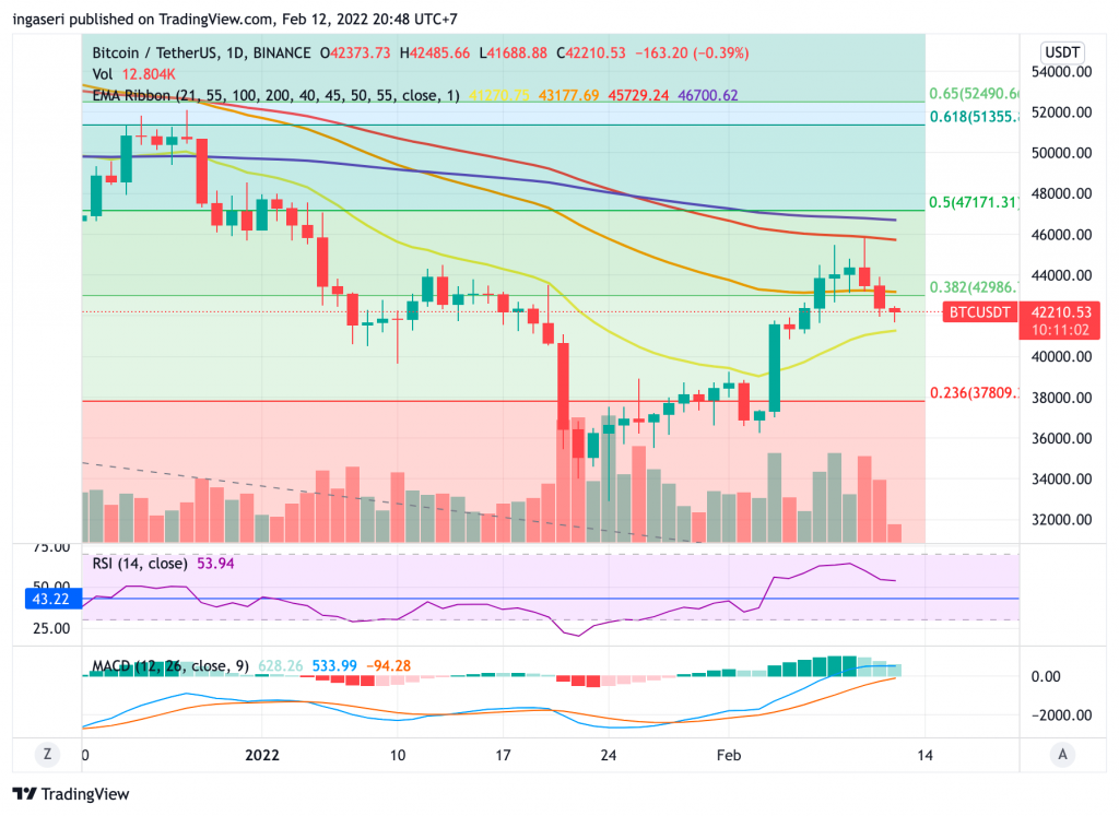 Market Insights: 6-12 February 2022