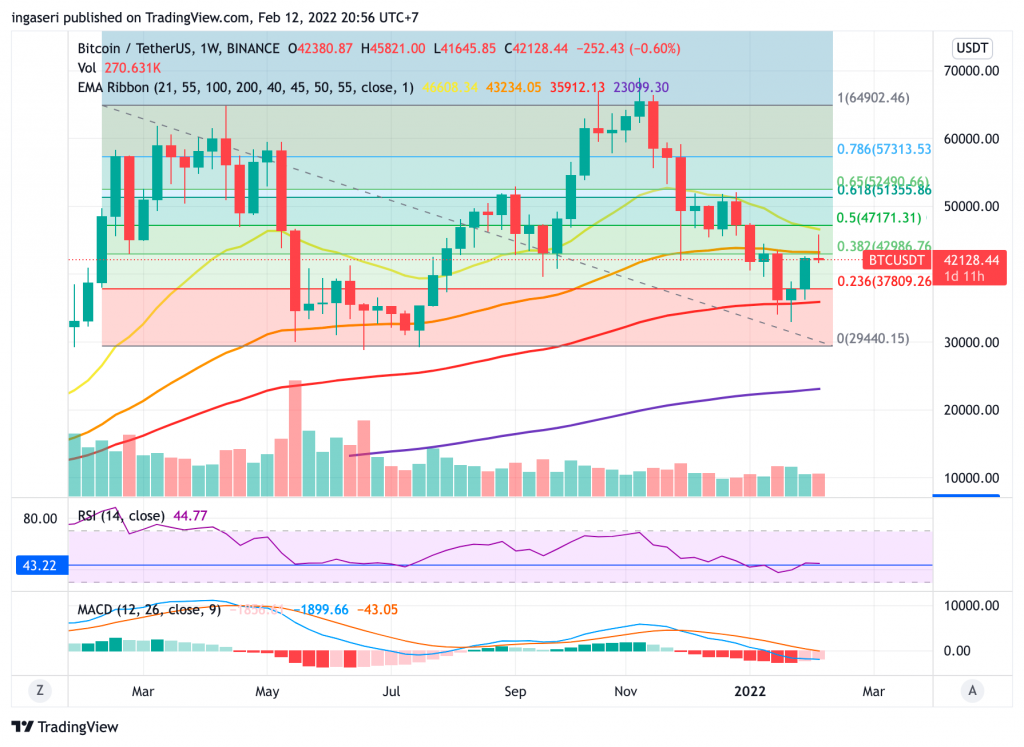 Market Insights: 6-12 February 2022