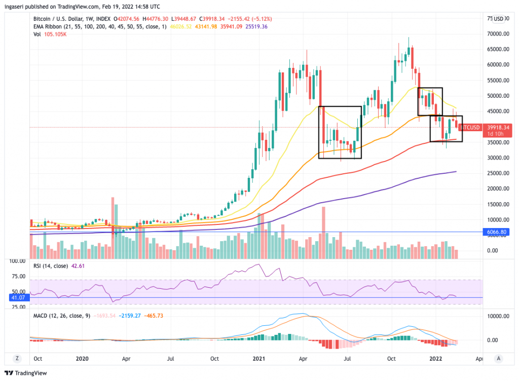 Market Insights Feb 14-20