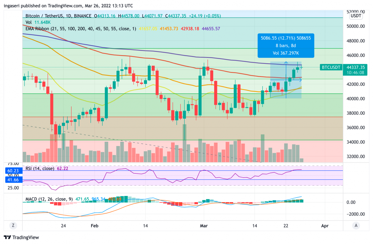 Analisis Pasar 20-26 Mar: BTC Beri Sinyal Bullish & Rusia Akan Terima ...