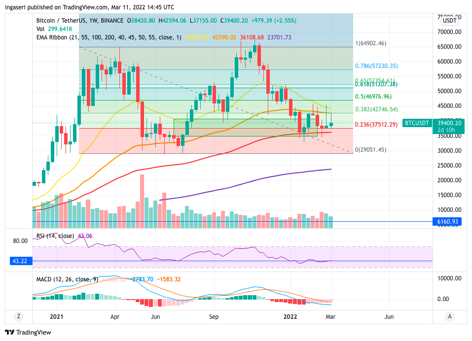 Bitcoin weekly charts we are still in a danger zone, under the 55 weeks EMA. Market analysis suggest BTC needs to hold this level or else it will keep going below.