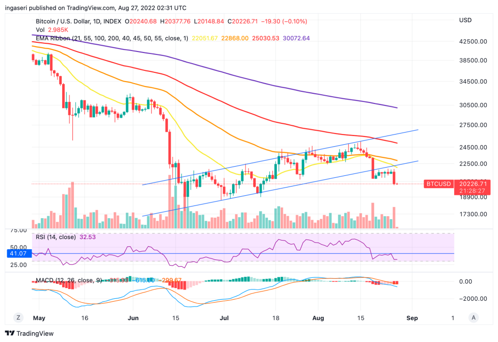 Market Analysis August 22-28