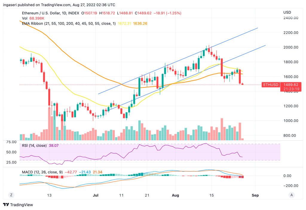 Market Analysis August 22-28