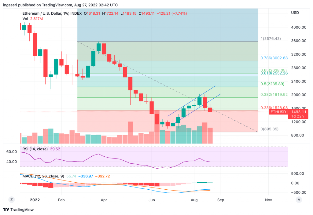 Market Analysis August 22-28