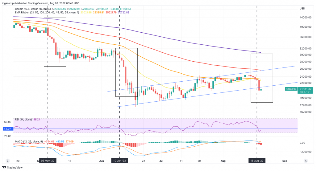 bitcoin daily price chart