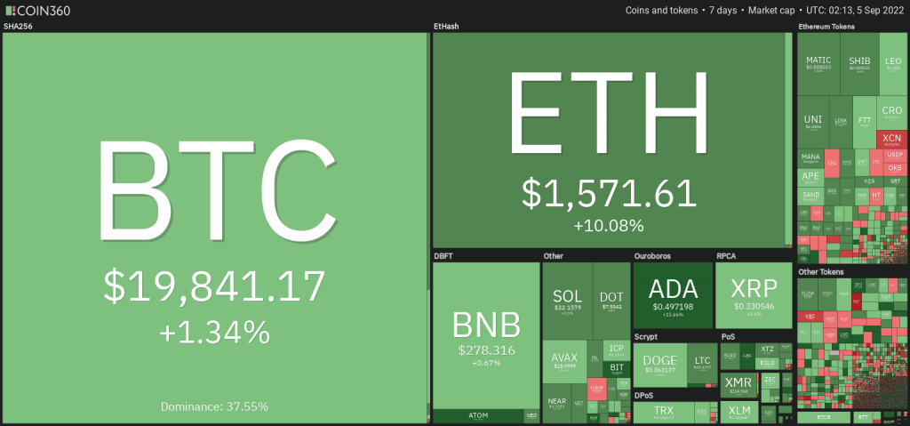 Cryptocurrency market performance