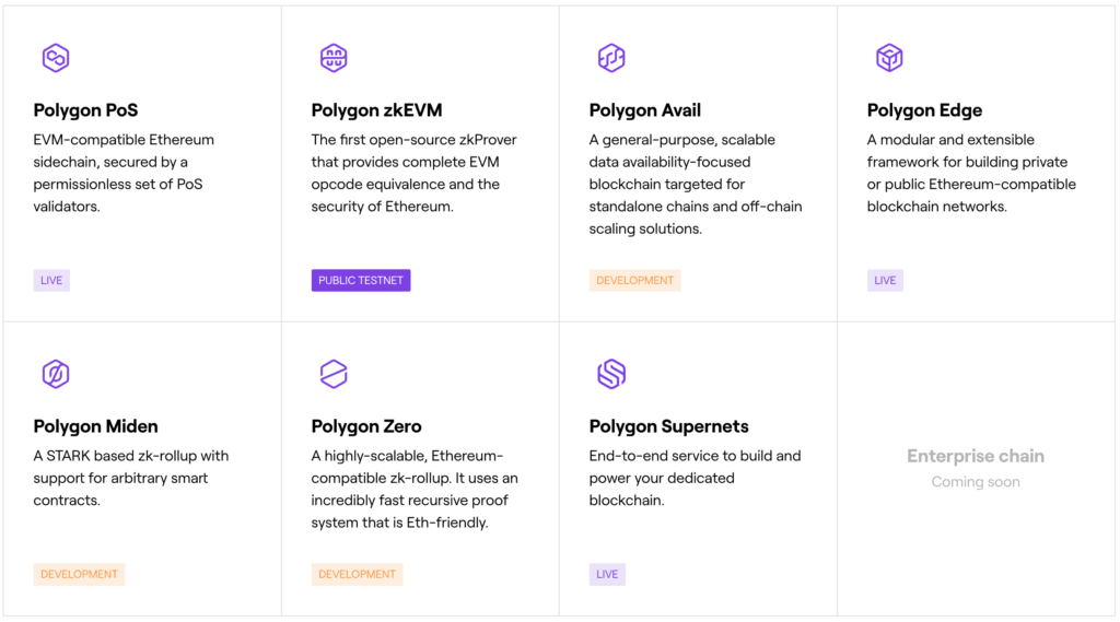 polygon l2 scaling products