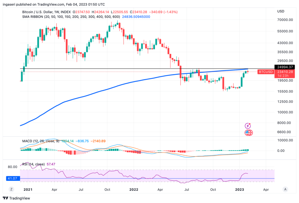 Bitcoin Bull Run Cycle