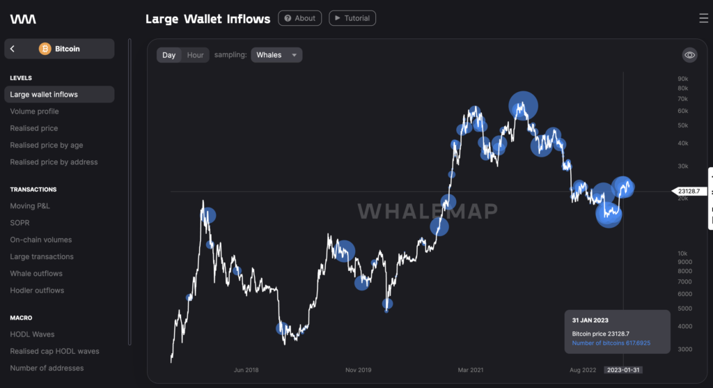 Whale Map merupakan crypto whale tracker yang mempunyai fitur edukasi dan tutorial.