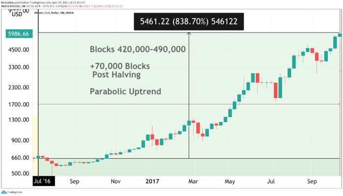 Parabolic uptrend that occurred after the halving in 2016