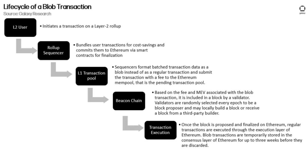 how blob transactions work