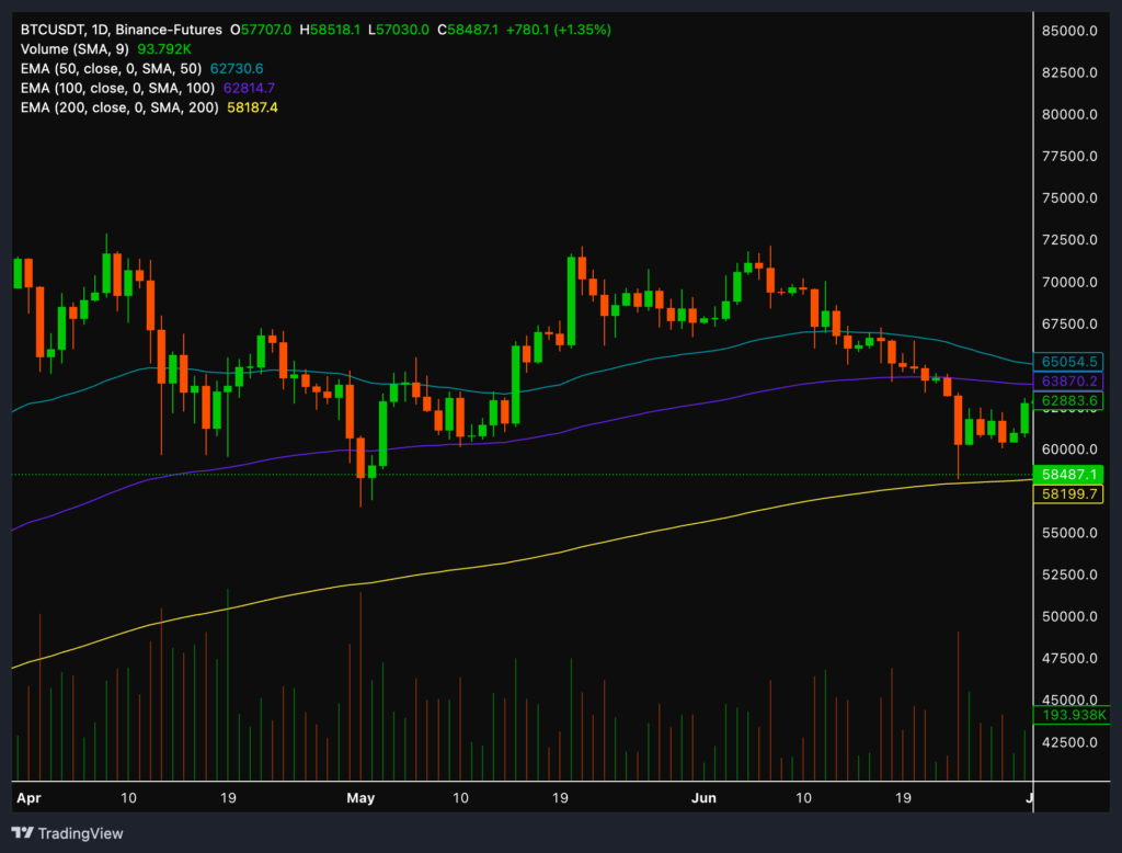 grafik harga btc 2024